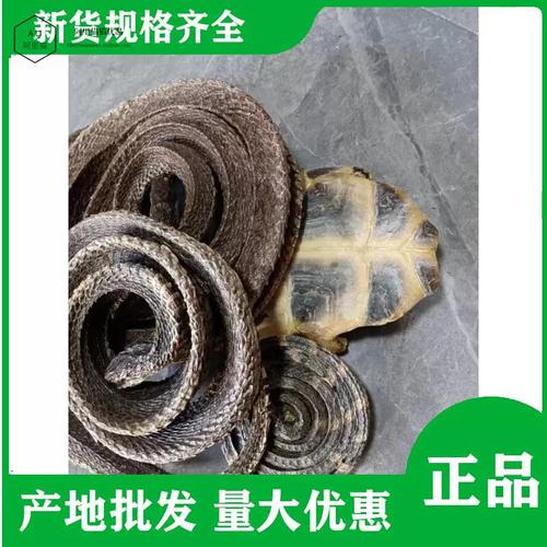 三蛇一龟泡酒 传统养生佳品的奥秘与养殖眼镜蛇的科学探索